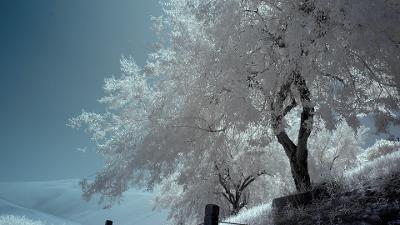 个人使用的自动化部署方案