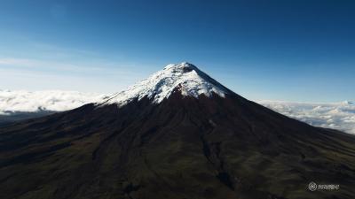 使用 docker 开泰拉瑞亚服务器